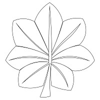 leaf insignia 001